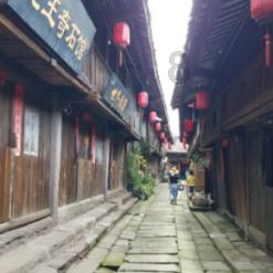 春雨直播app