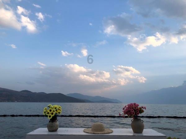 沪江开心词场